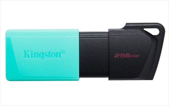 MEMORIA FLASH KINGSTON 256GB USB 3.2 GEN 1 EXODIA M(DTXM/256GB)